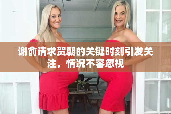 谢俞请求贺朝的关键时刻引发关注，情况不容忽视
