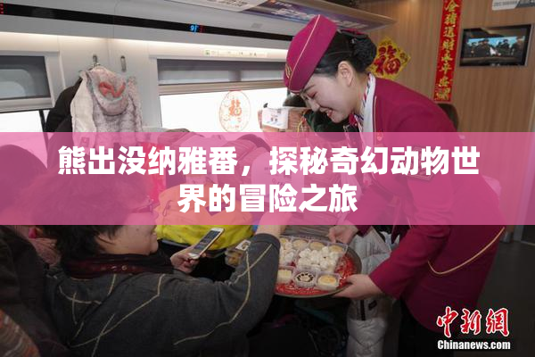 熊出没纳雅番，探秘奇幻动物世界的冒险之旅
