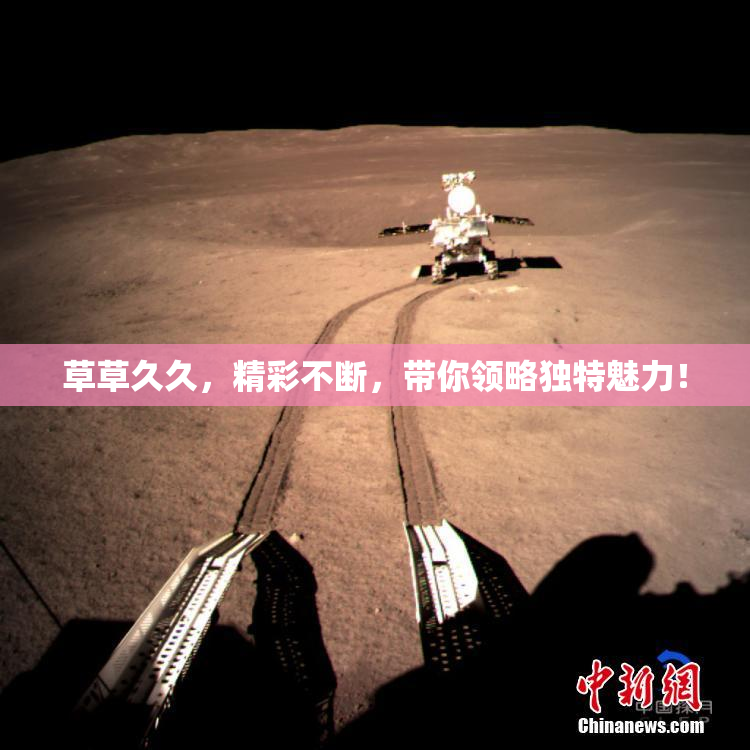 草草久久，精彩不断，带你领略独特魅力！