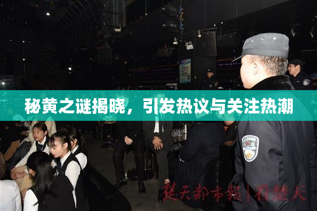 秘黄之谜揭晓，引发热议与关注热潮