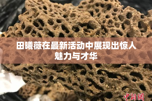 田曦薇在最新活动中展现出惊人魅力与才华