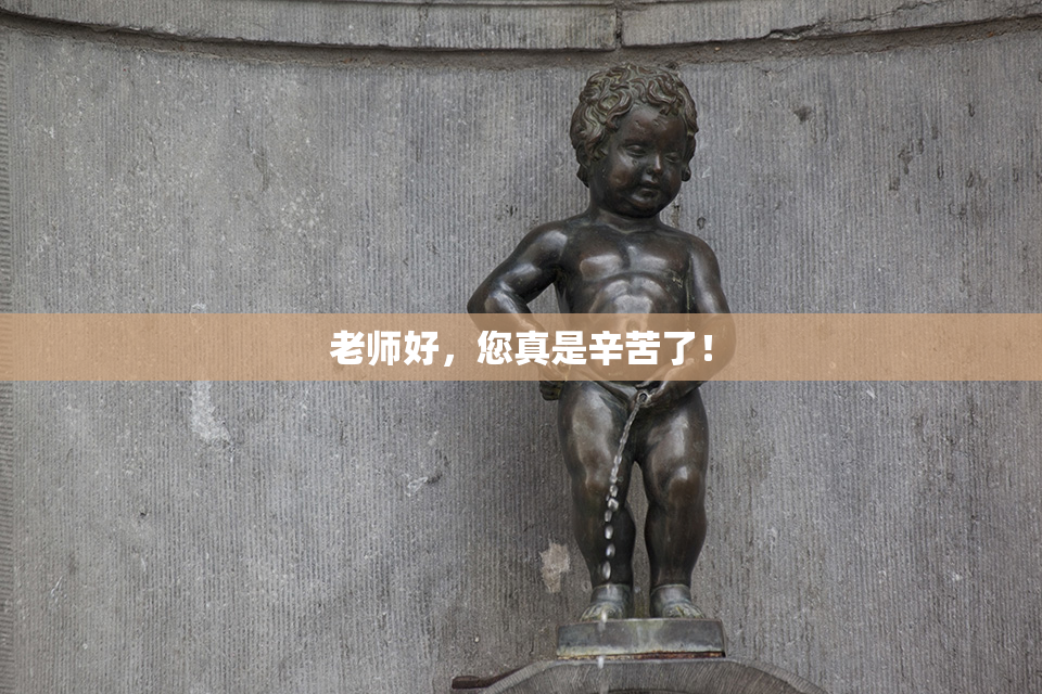 老师好，您真是辛苦了！