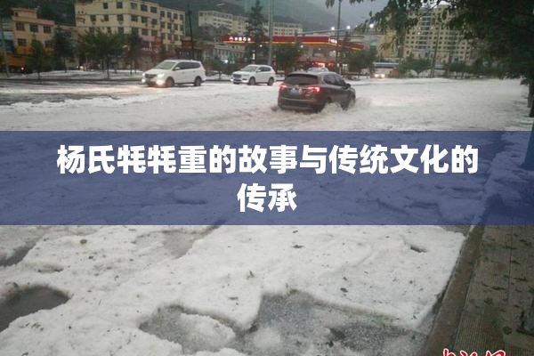 杨氏牦牦重的故事与传统文化的传承