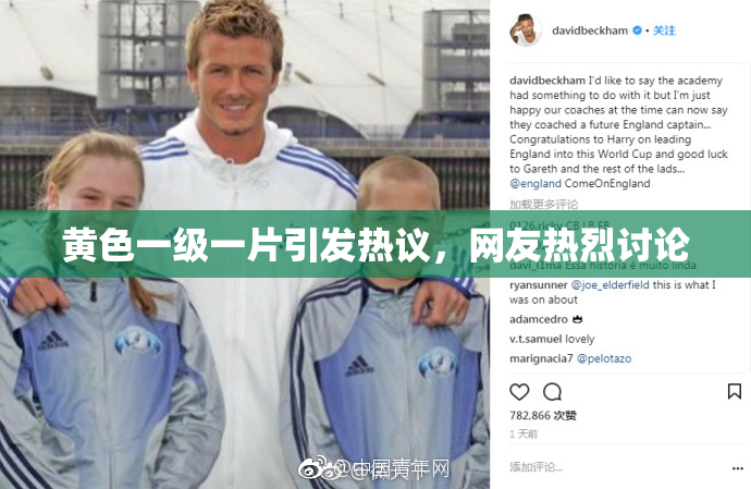 黄色一级一片引发热议，网友热烈讨论
