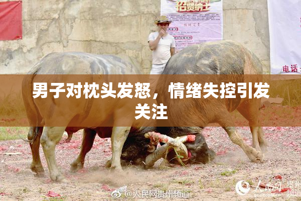 男子对枕头发怒，情绪失控引发关注