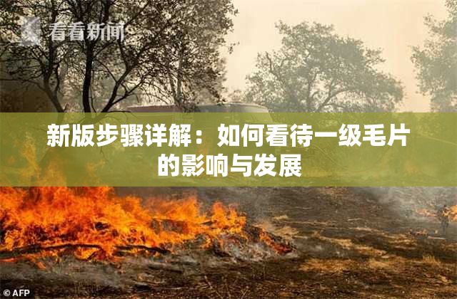 新版步骤详解：如何看待一级毛片的影响与发展