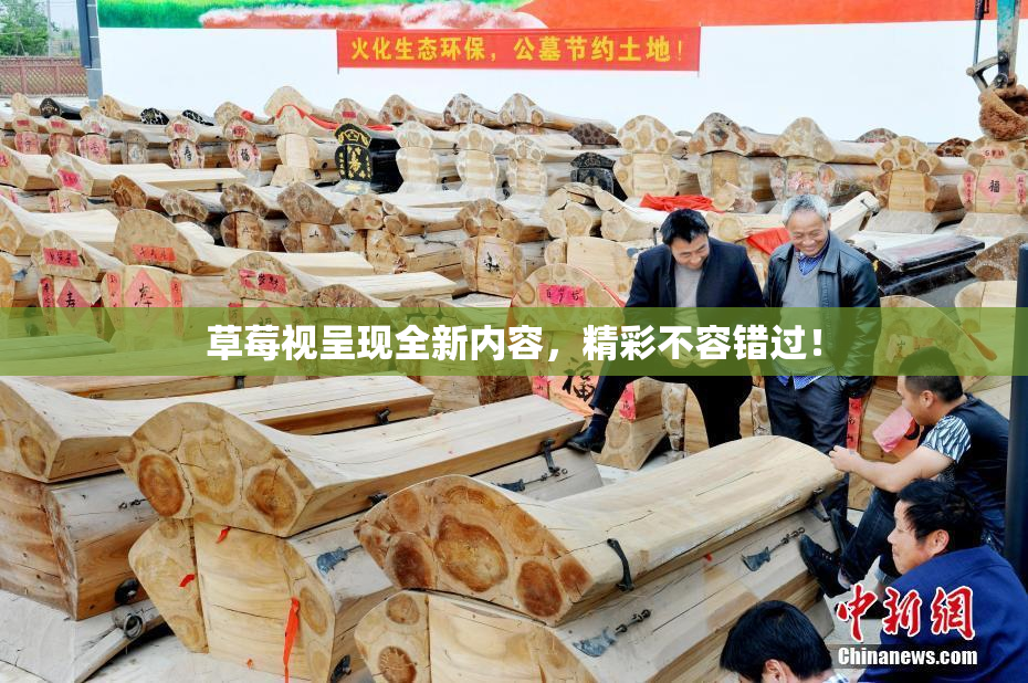 草莓视呈现全新内容，精彩不容错过！