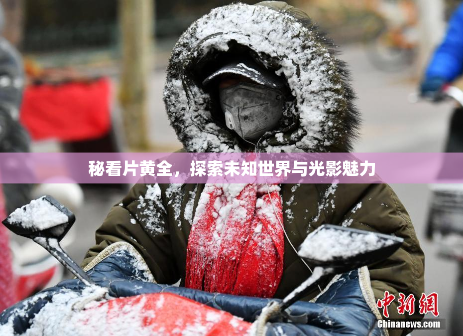 秘看片黄全，探索未知世界与光影魅力