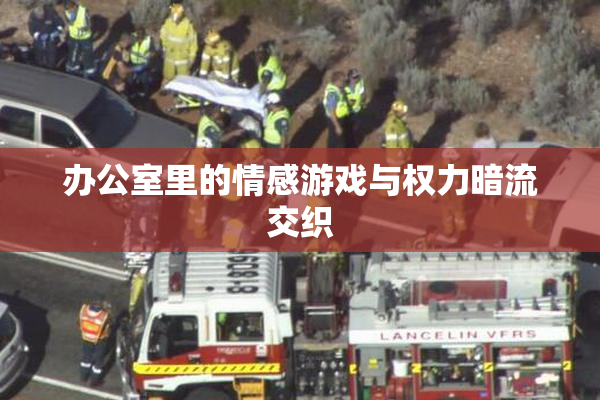办公室里的情感游戏与权力暗流交织