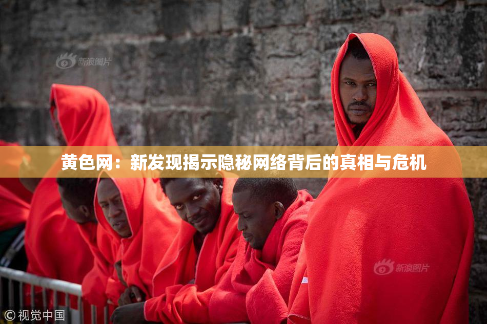 黄色网：新发现揭示隐秘网络背后的真相与危机