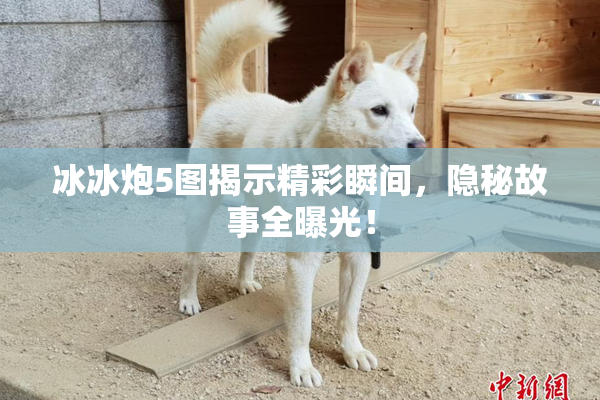 冰冰炮5图揭示精彩瞬间，隐秘故事全曝光！