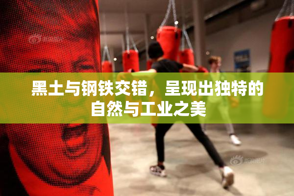 黑土与钢铁交错，呈现出独特的自然与工业之美