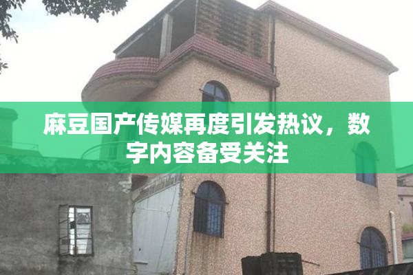 麻豆国产传媒再度引发热议，数字内容备受关注