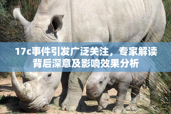 17c事件引发广泛关注，专家解读背后深意及影响效果分析