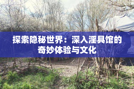 探索隐秘世界：深入淫具馆的奇妙体验与文化