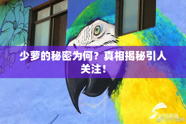少萝的秘密为何？真相揭秘引人关注！