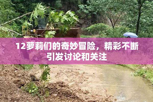 12萝莉们的奇妙冒险，精彩不断引发讨论和关注