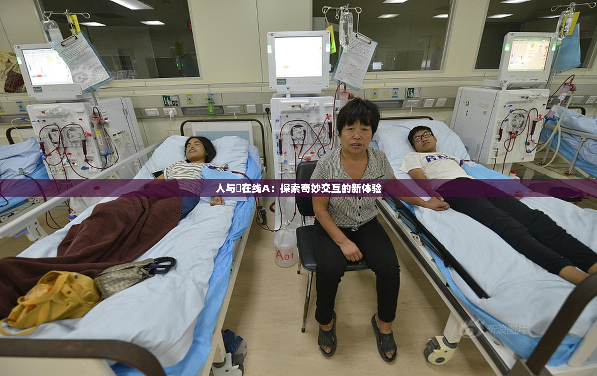 人与嘼在线A：探索奇妙交互的新体验