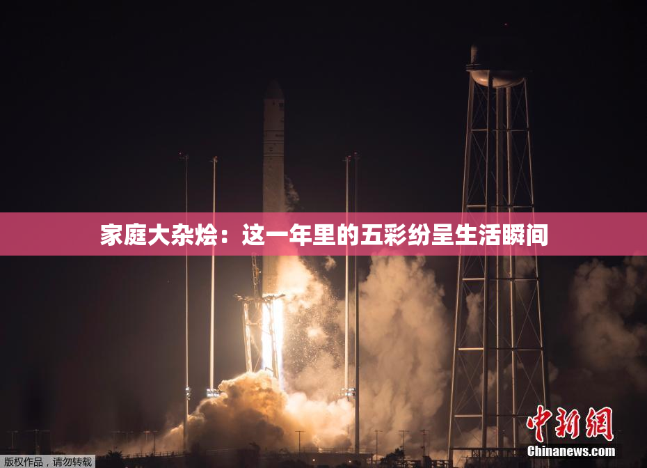 家庭大杂烩：这一年里的五彩纷呈生活瞬间