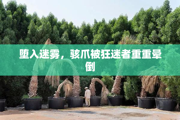 堕入迷雾，骇爪被狂迷者重重晕倒