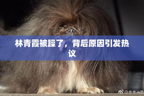 林青霞被躁了，背后原因引发热议