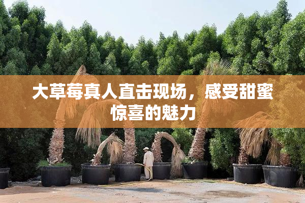 大草莓真人直击现场，感受甜蜜惊喜的魅力