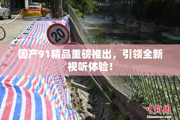 国产91精品重磅推出，引领全新视听体验！