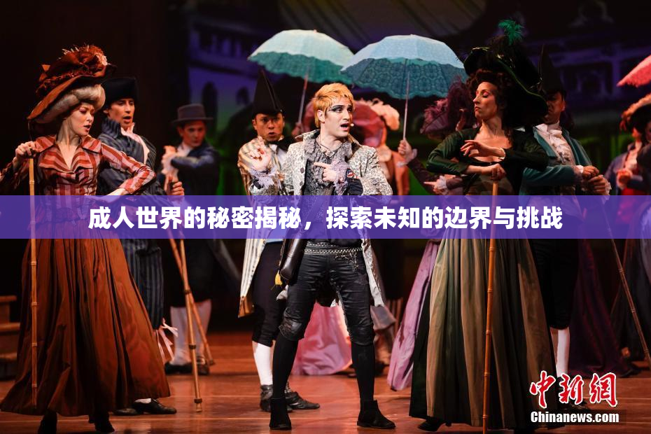 成人世界的秘密揭秘，探索未知的边界与挑战
