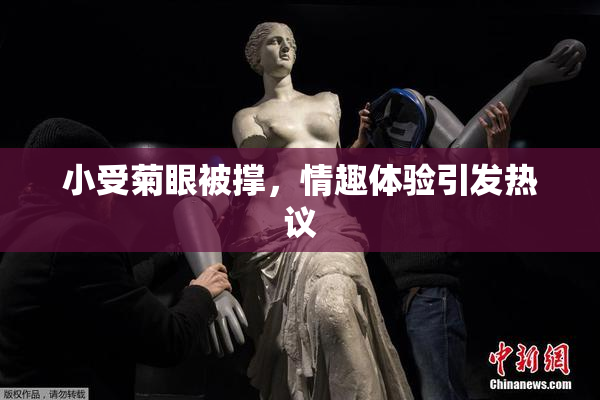 小受菊眼被撑，情趣体验引发热议