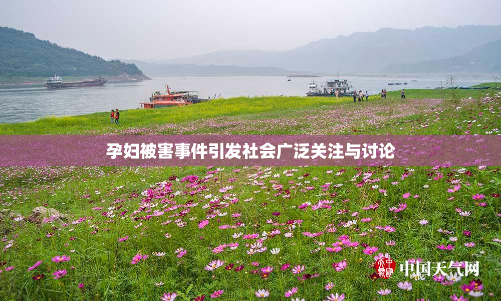 孕妇被害事件引发社会广泛关注与讨论