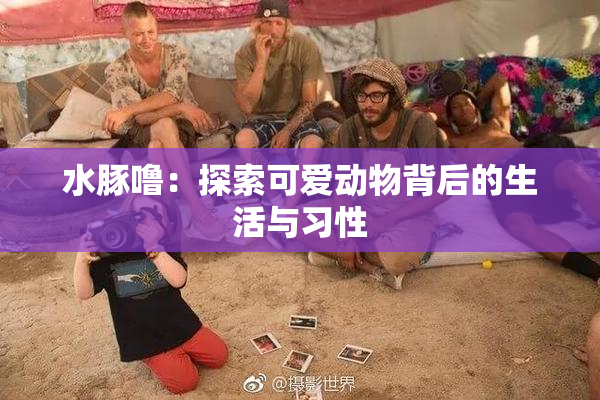 水豚噜：探索可爱动物背后的生活与习性