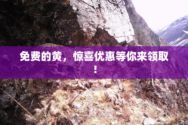 免费的黄，惊喜优惠等你来领取！