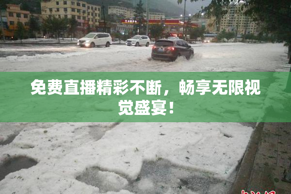 免费直播精彩不断，畅享无限视觉盛宴！