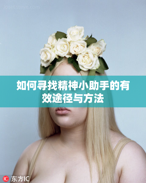 如何寻找精神小助手的有效途径与方法