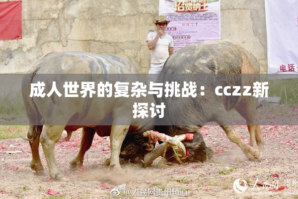 成人世界的复杂与挑战：cczz新探讨