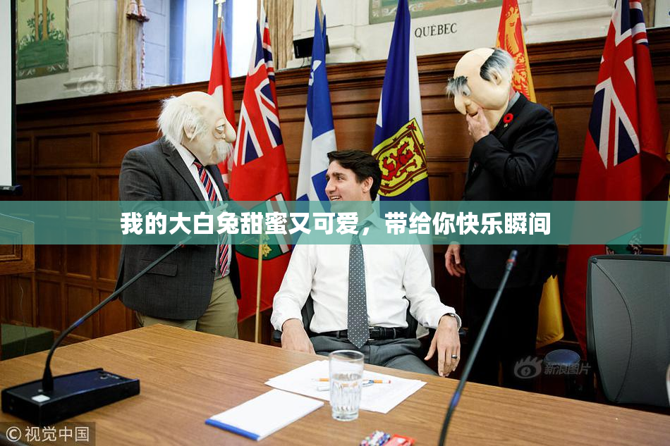 我的大白兔甜蜜又可爱，带给你快乐瞬间