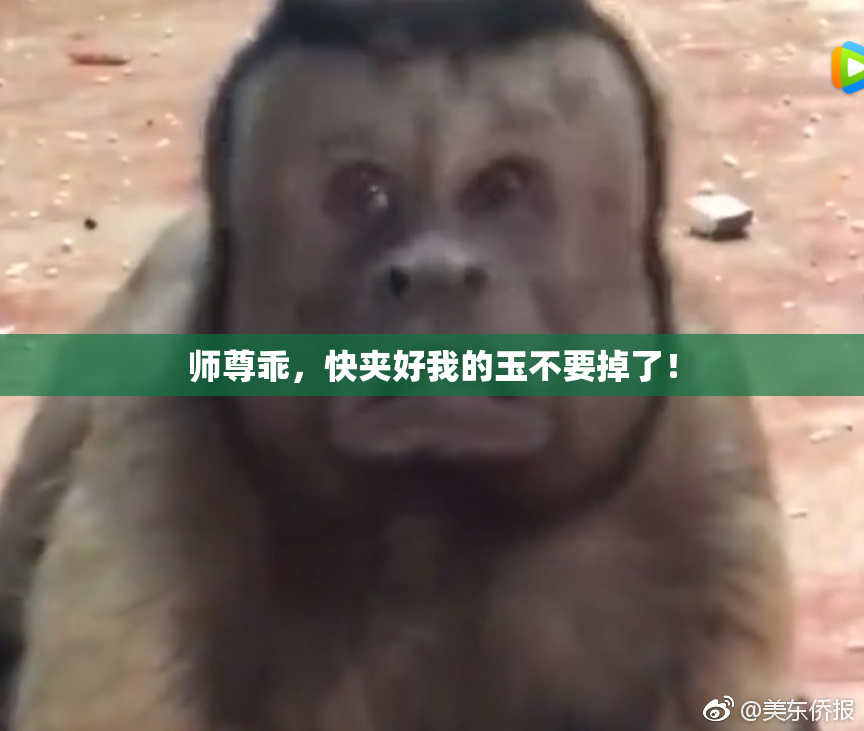 师尊乖，快夹好我的玉不要掉了！
