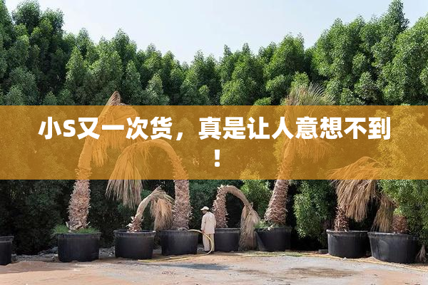 小S又一次货，真是让人意想不到！