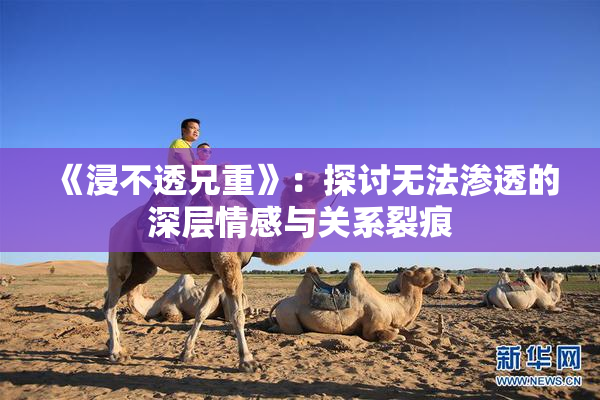 《浸不透兄重》：探讨无法渗透的深层情感与关系裂痕