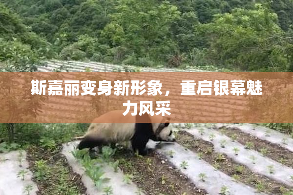 斯嘉丽变身新形象，重启银幕魅力风采