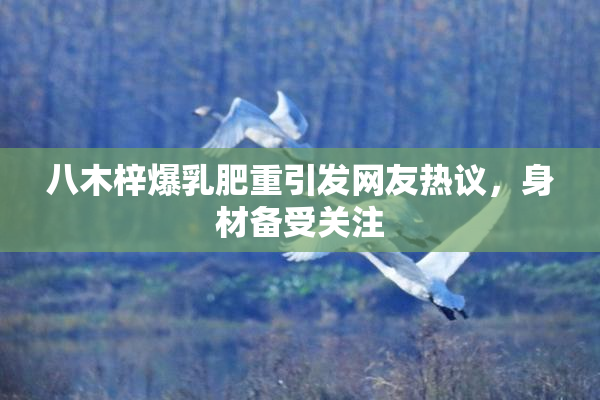 八木梓爆乳肥重引发网友热议，身材备受关注