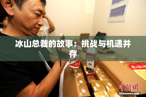冰山总裁的故事：挑战与机遇并存