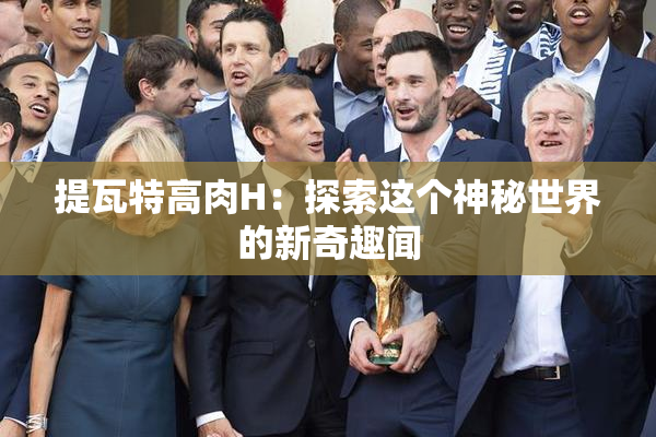 提瓦特高肉H：探索这个神秘世界的新奇趣闻