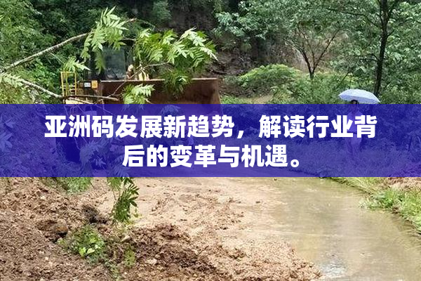 亚洲码发展新趋势，解读行业背后的变革与机遇。