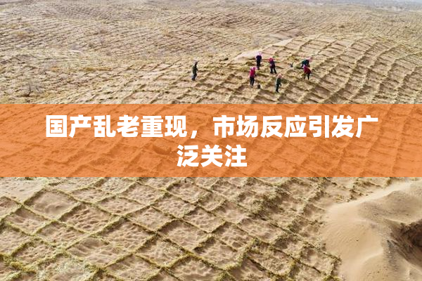 国产乱老重现，市场反应引发广泛关注