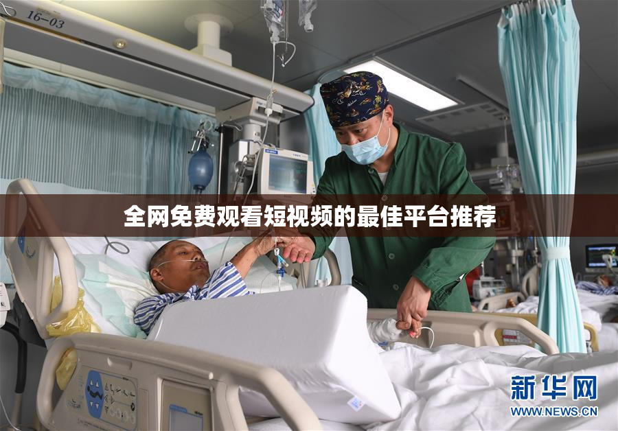 全网免费观看短视频的最佳平台推荐