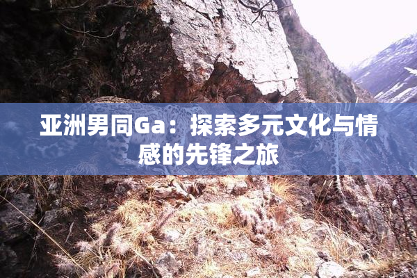 亚洲男同Ga：探索多元文化与情感的先锋之旅