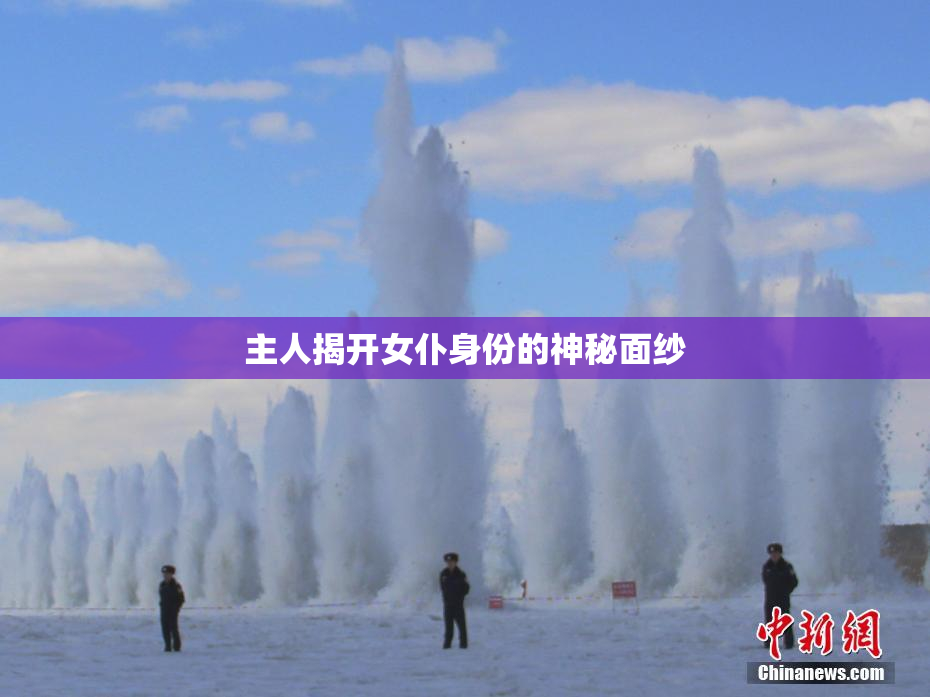 主人揭开女仆身份的神秘面纱
