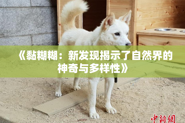 《黏糊糊：新发现揭示了自然界的神奇与多样性》