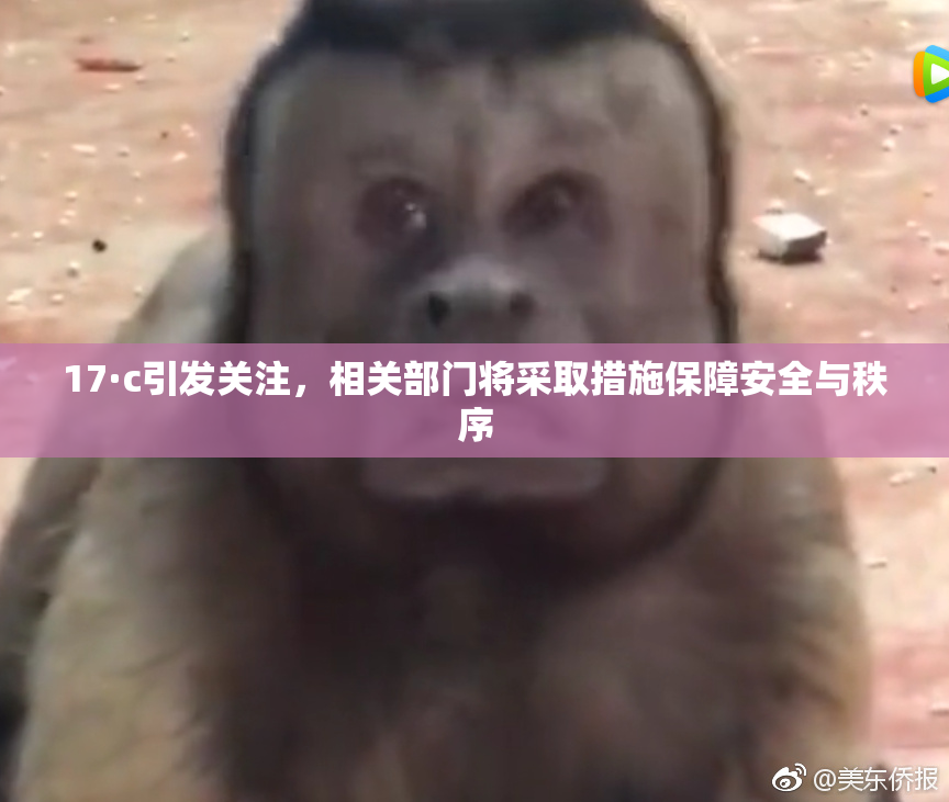 17·c引发关注，相关部门将采取措施保障安全与秩序